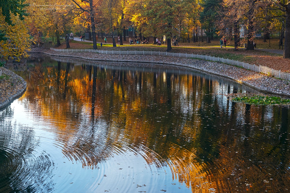 Золотая осень в Лианозовском парке