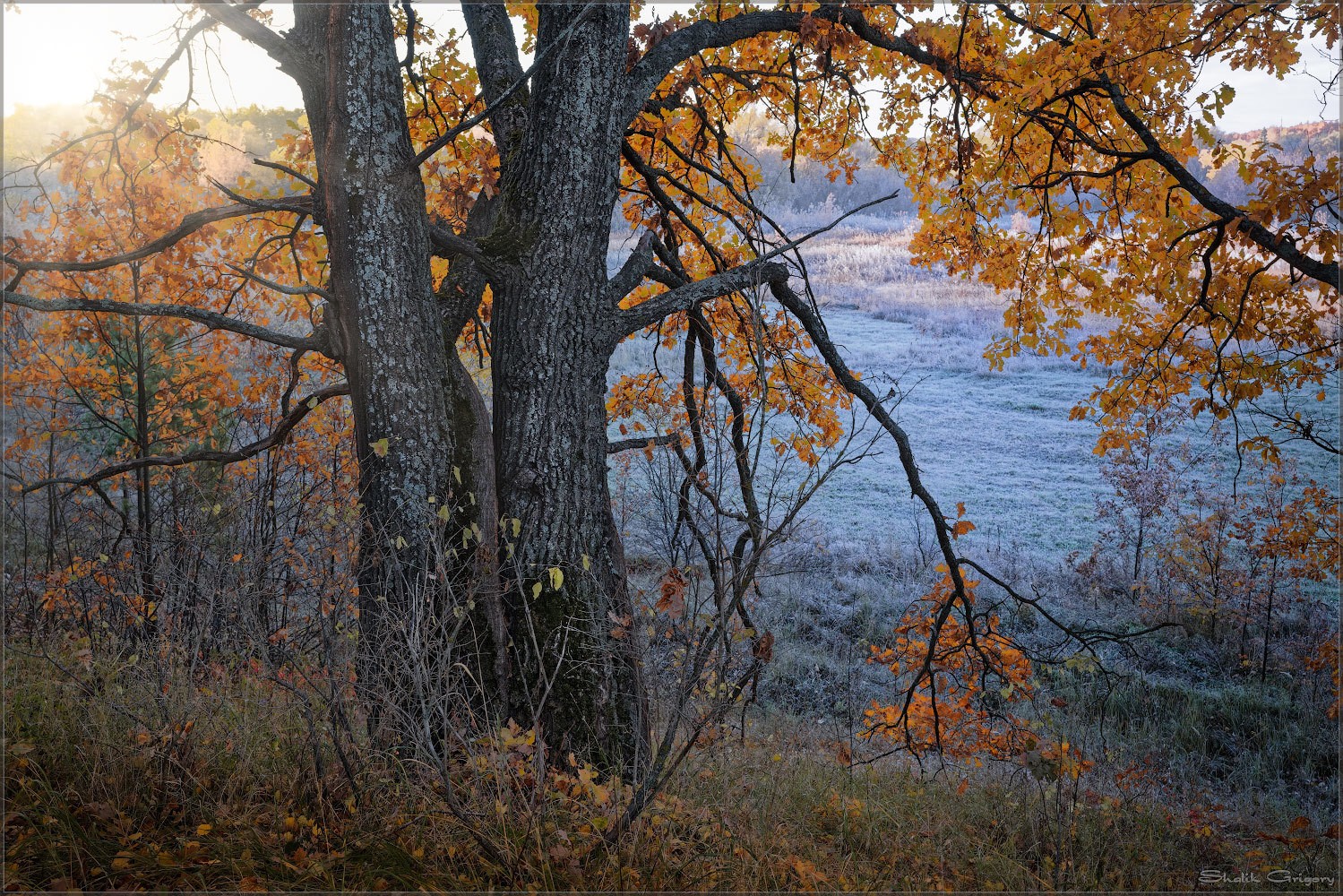 Осень