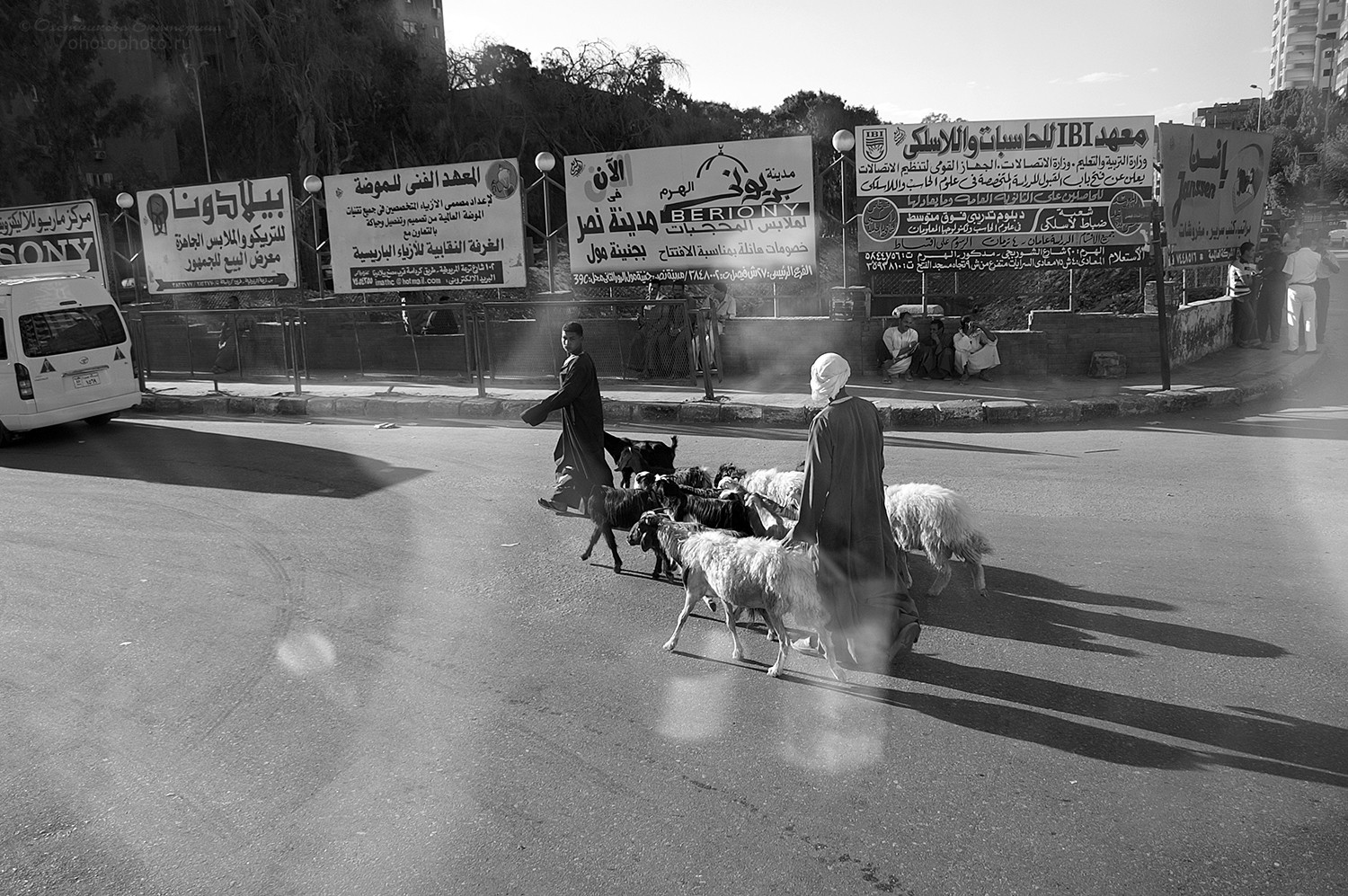 На перекрестках Каира