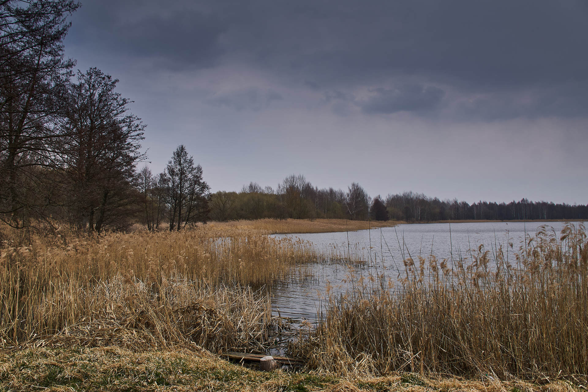 Станьково_водохранилище Рапусса