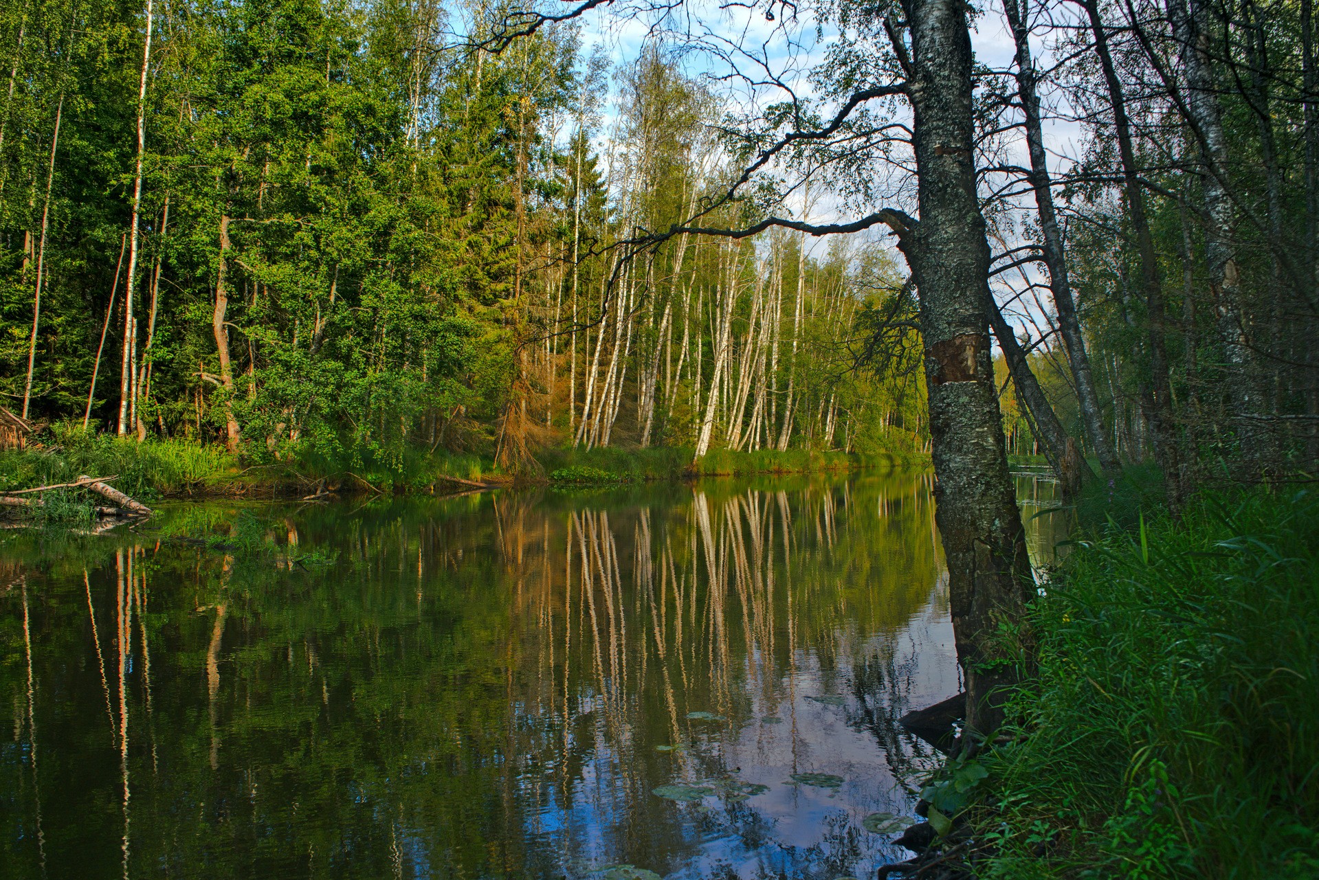 На реке Волчьей (2)