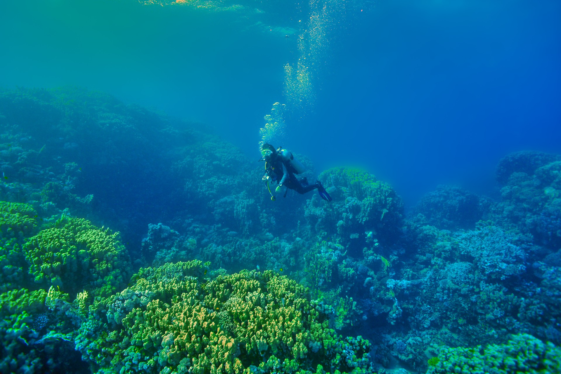 Над коралловым рифом