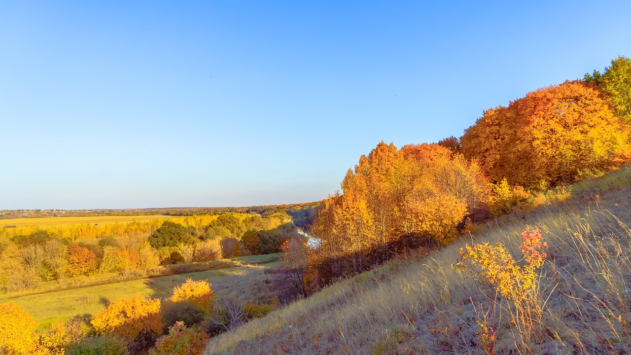 Золотая осень на реке Быстрая Сосна.