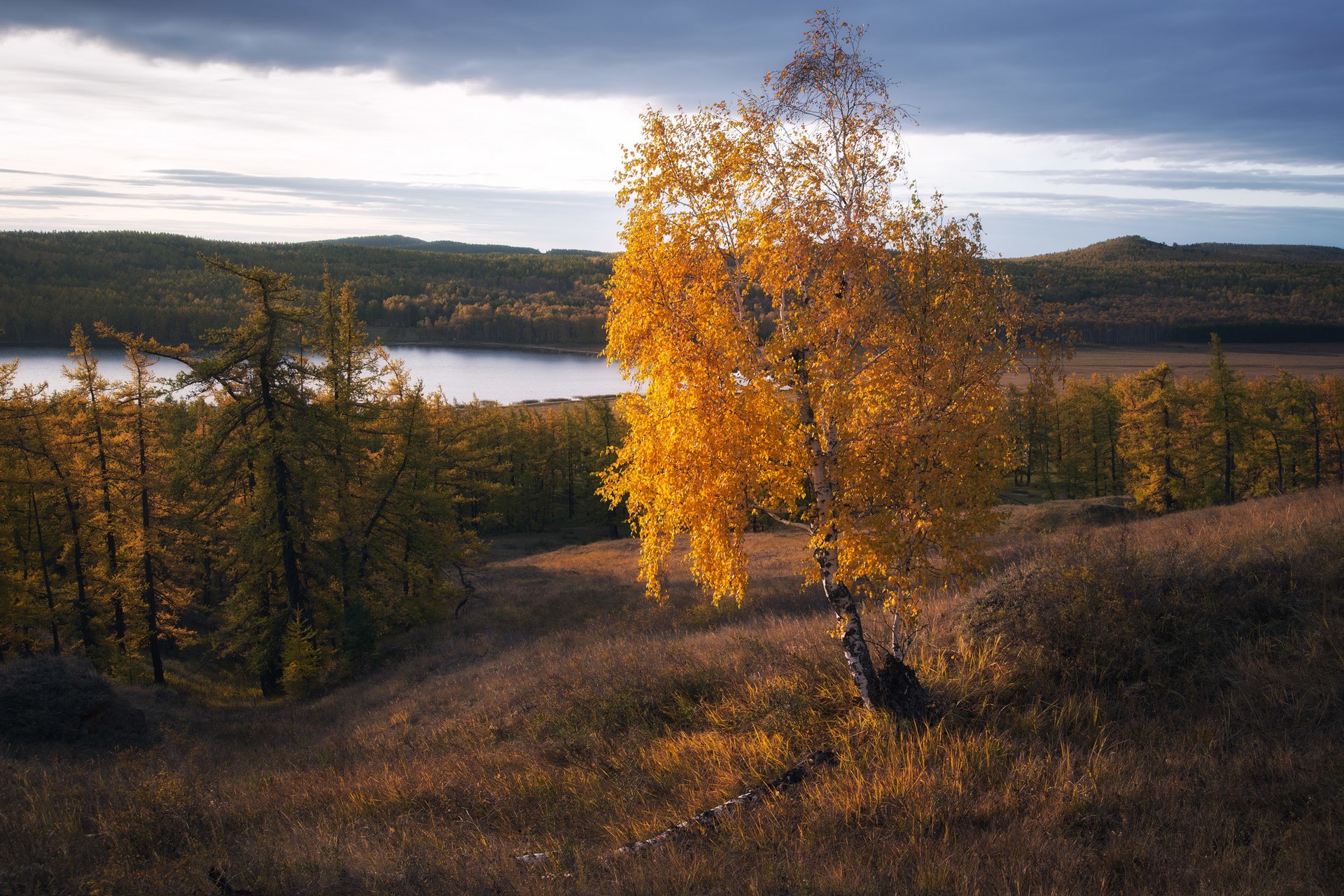 Золото осени