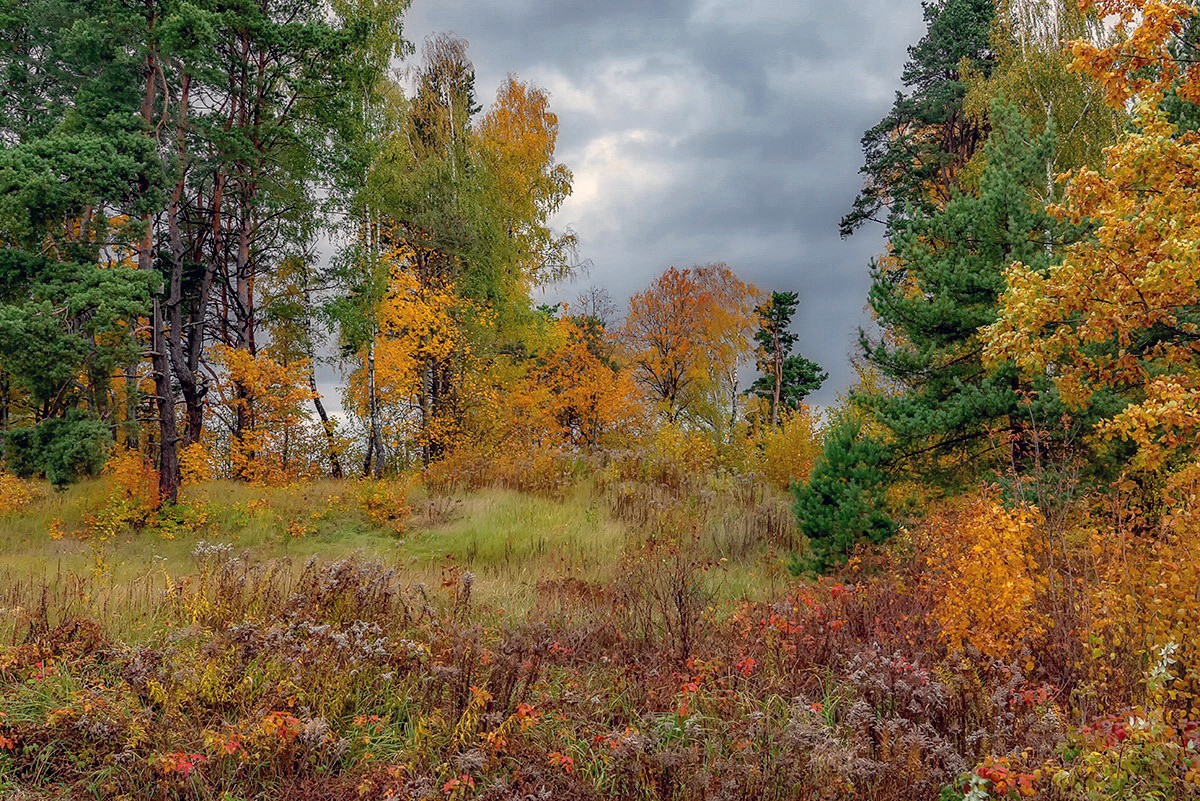 Autumn in Saulkrasti