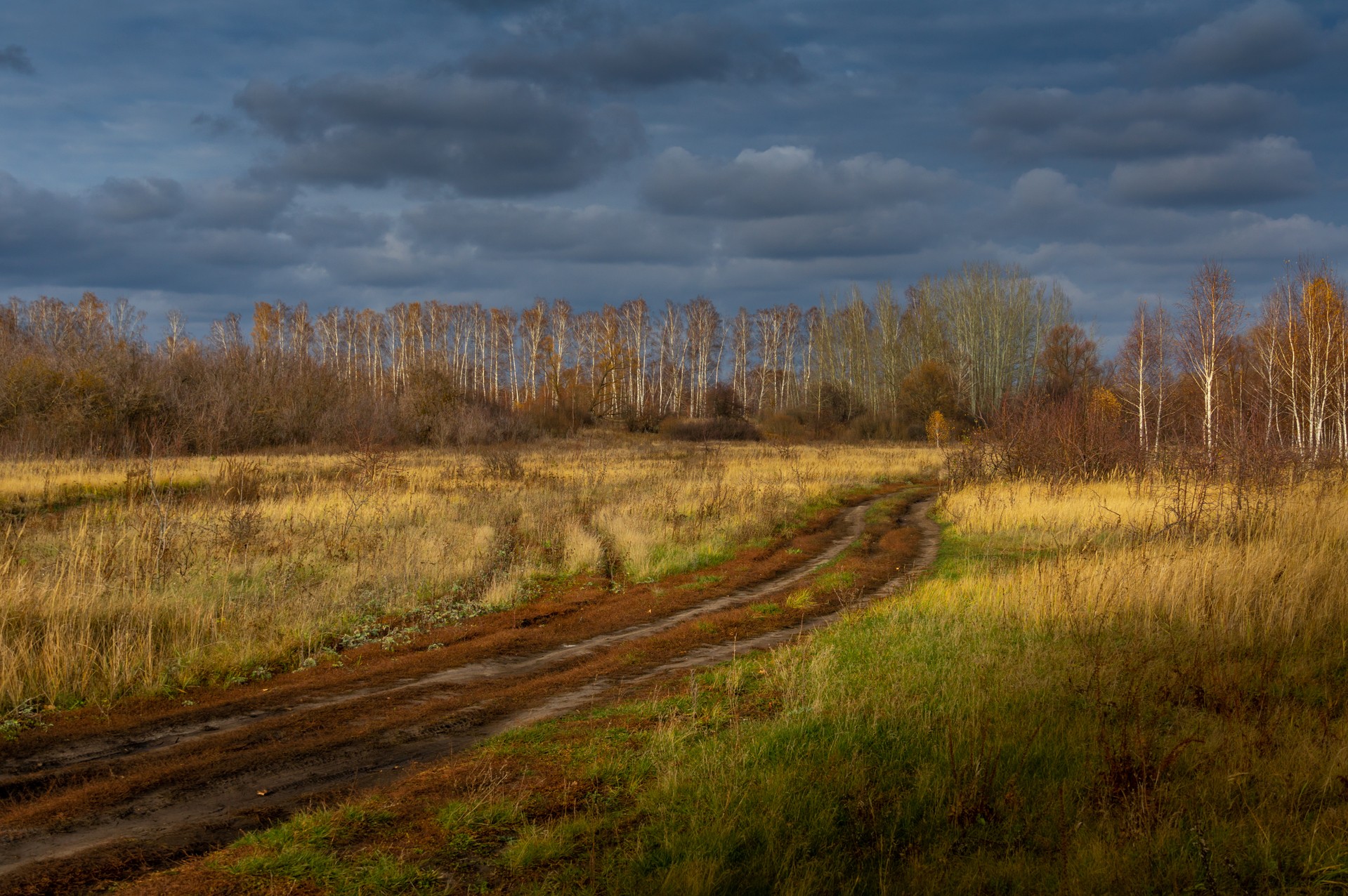 Закат осени