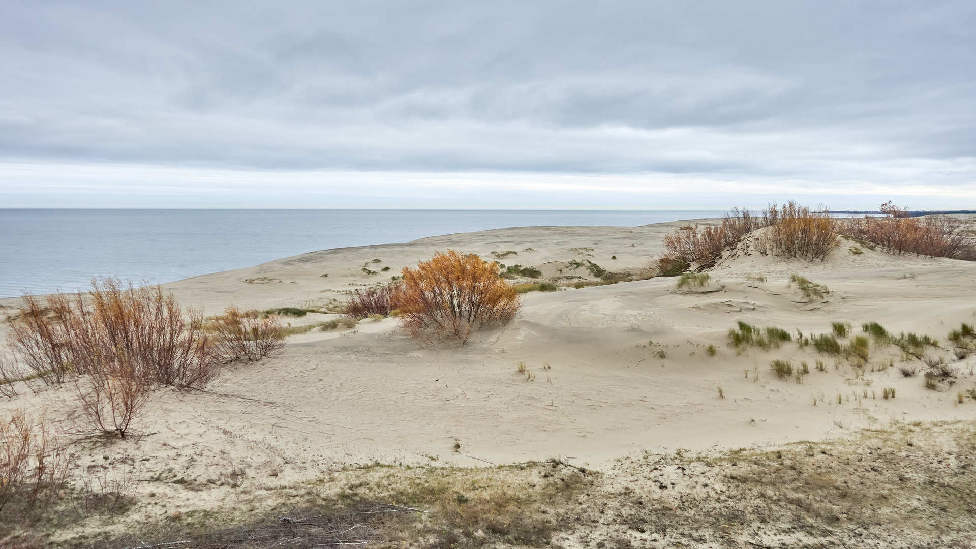 Песчаные дюны Куршской косы.