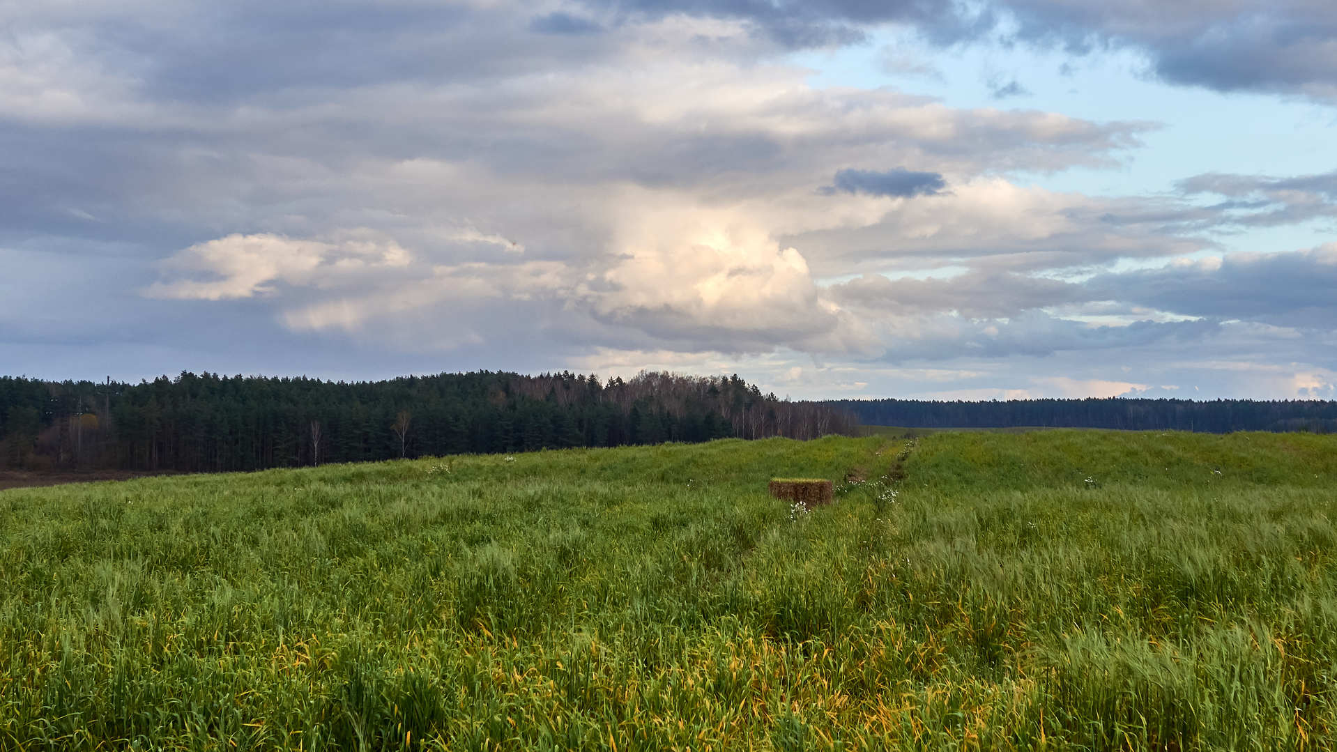 Вечерело