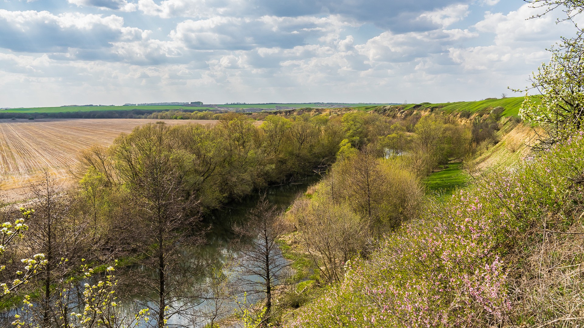 Весна на реке Кшень.