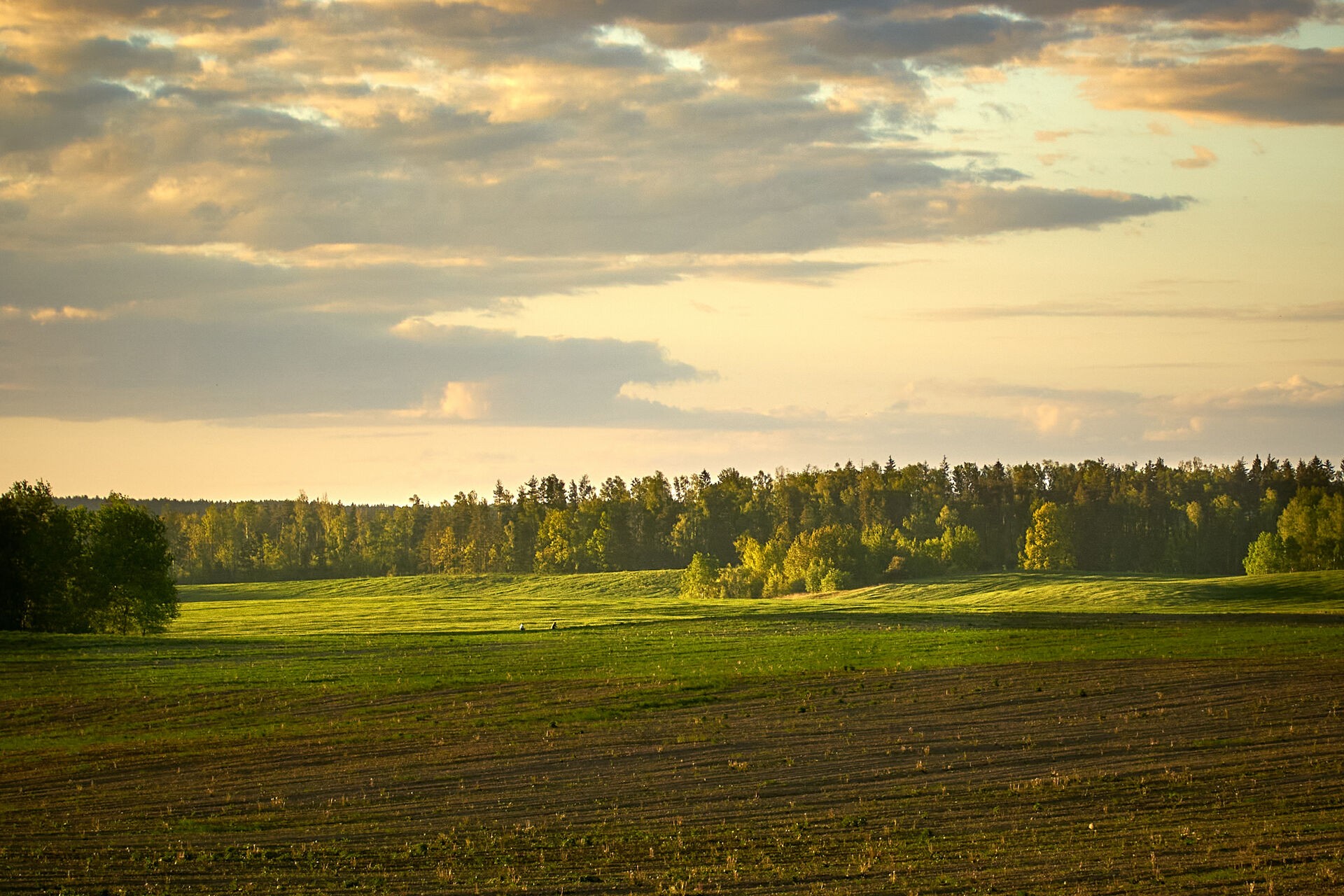 Вечерняя прогулка