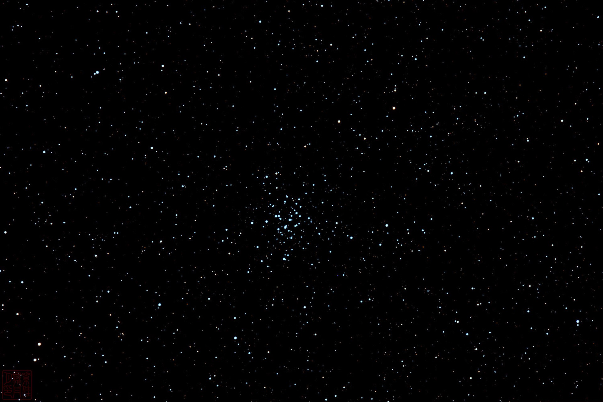 Скопление M36 «Морская звезда»