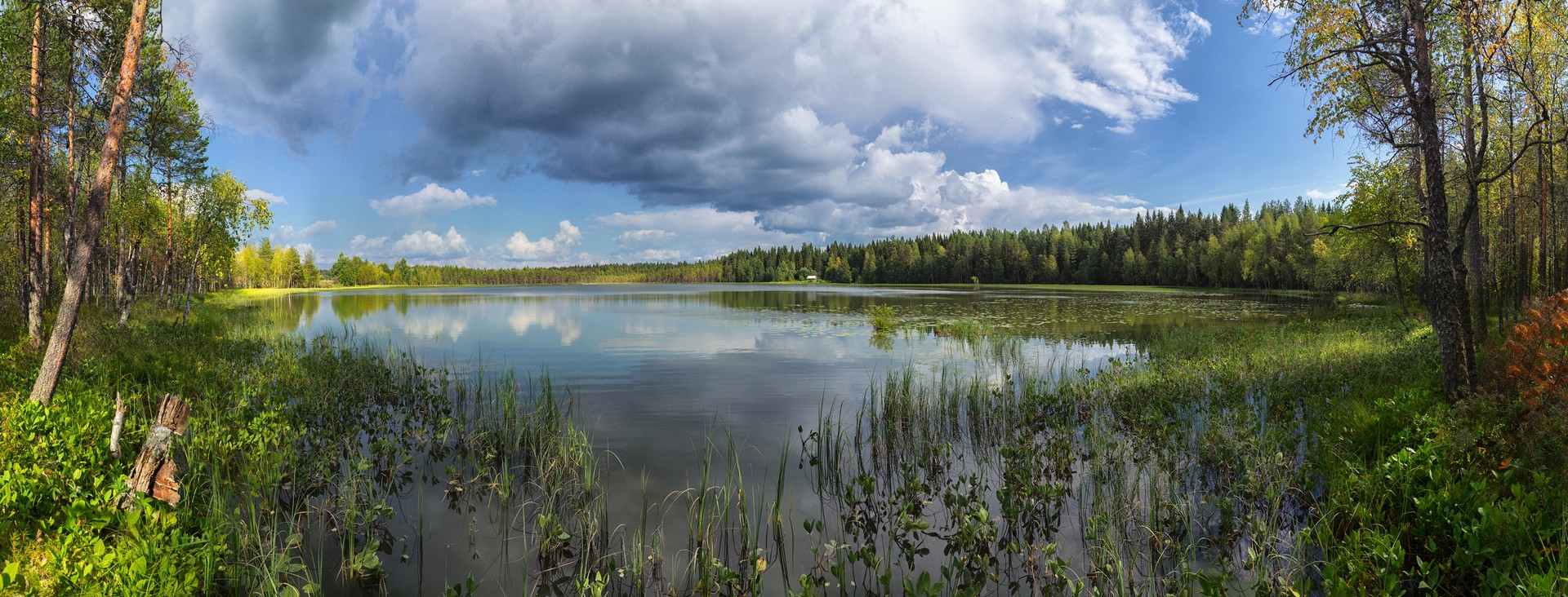 Озеро Чёрное. Вологодская область.