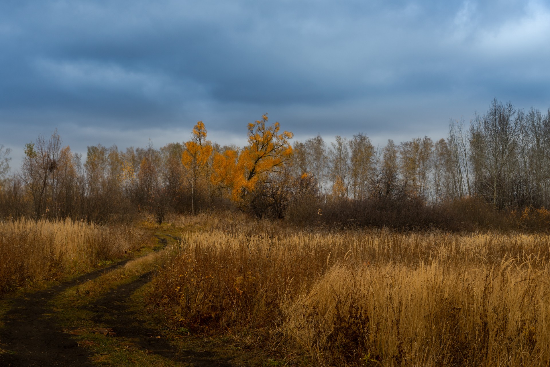 Золотая осень