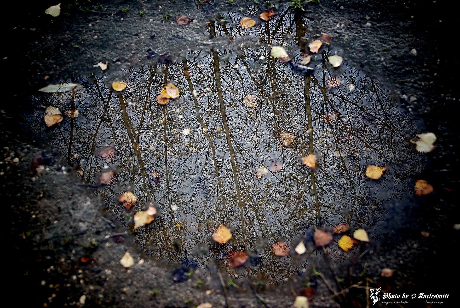 Осень отражение