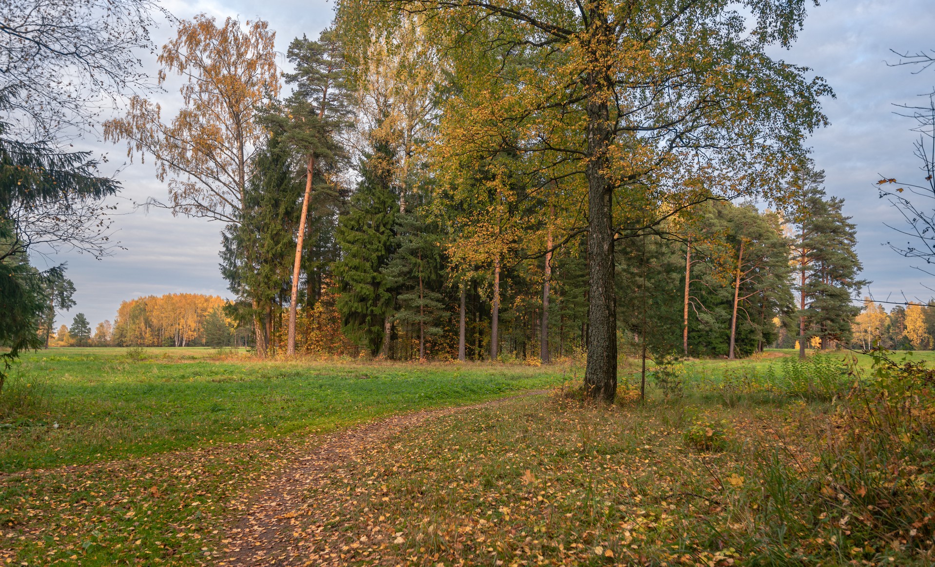 Павловский парк