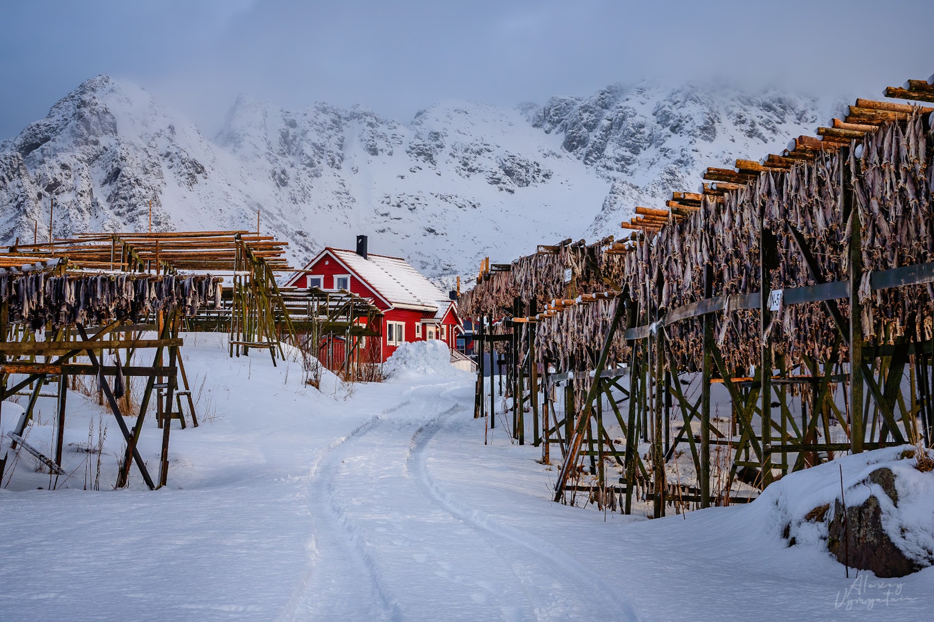 Morning in Henningsvær