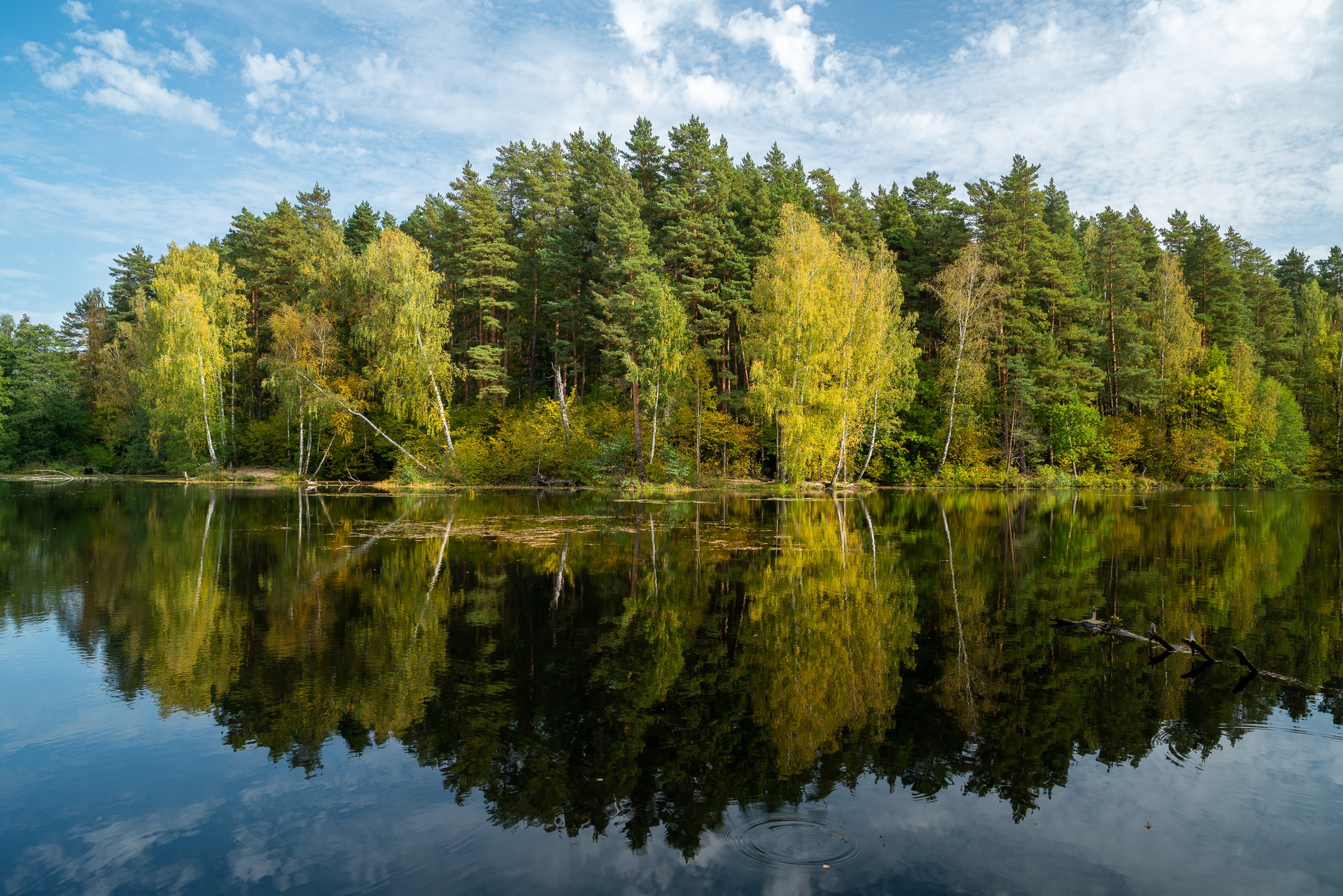 Осеннее отражение