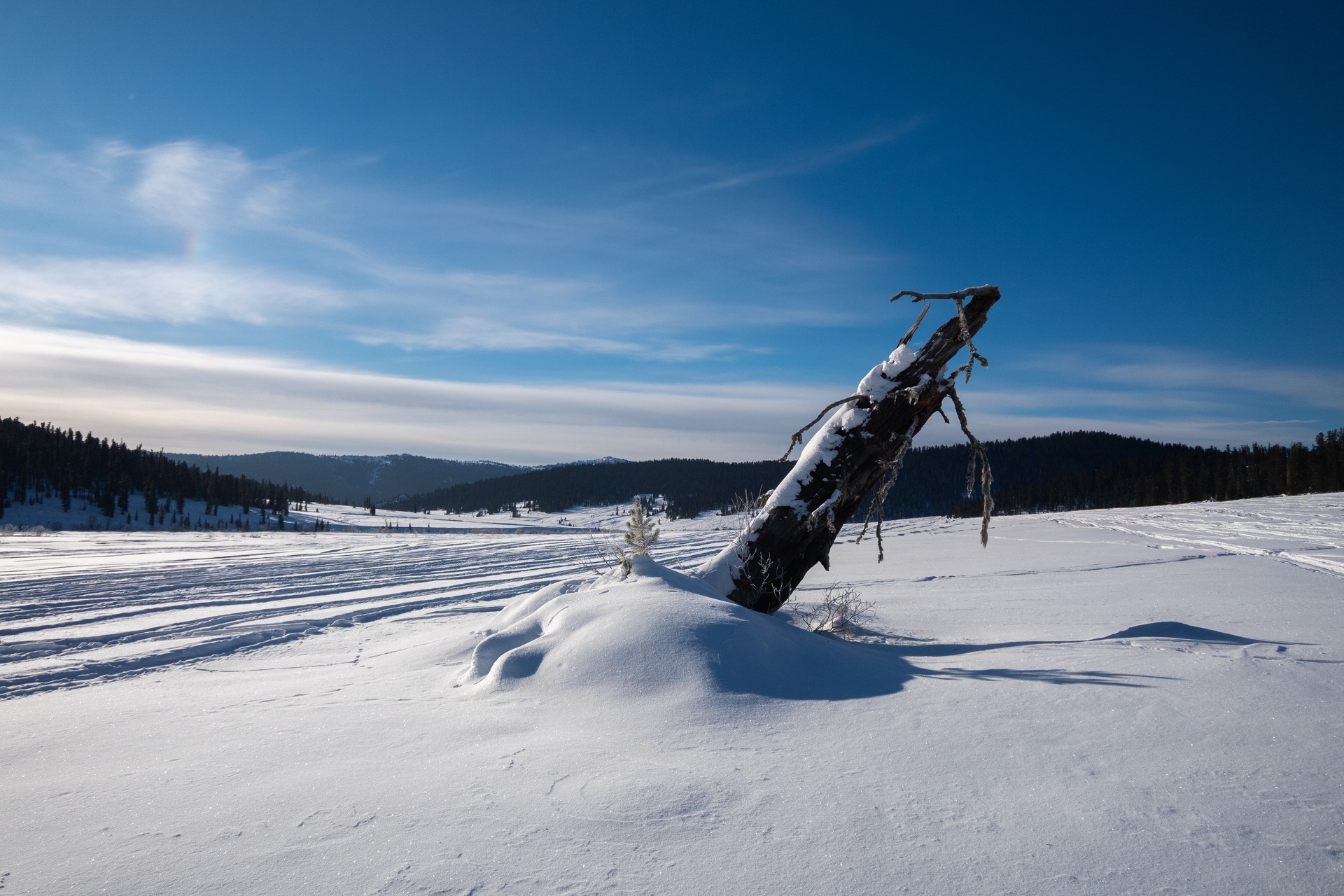 Snow Desert