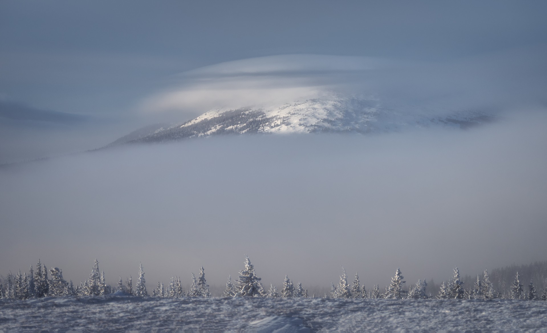 Круглица