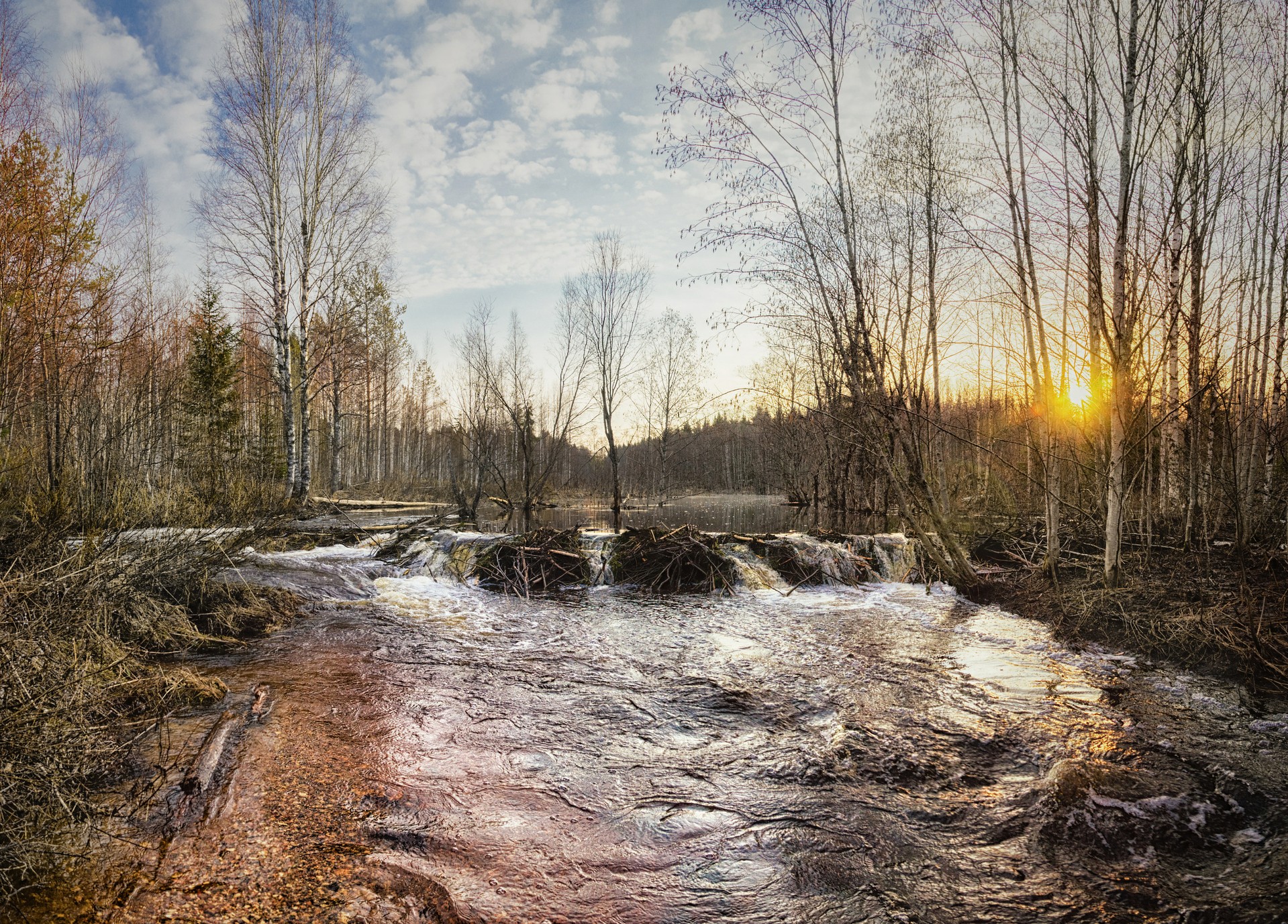 Апрельское утро на речке Муж...Вологодская область.