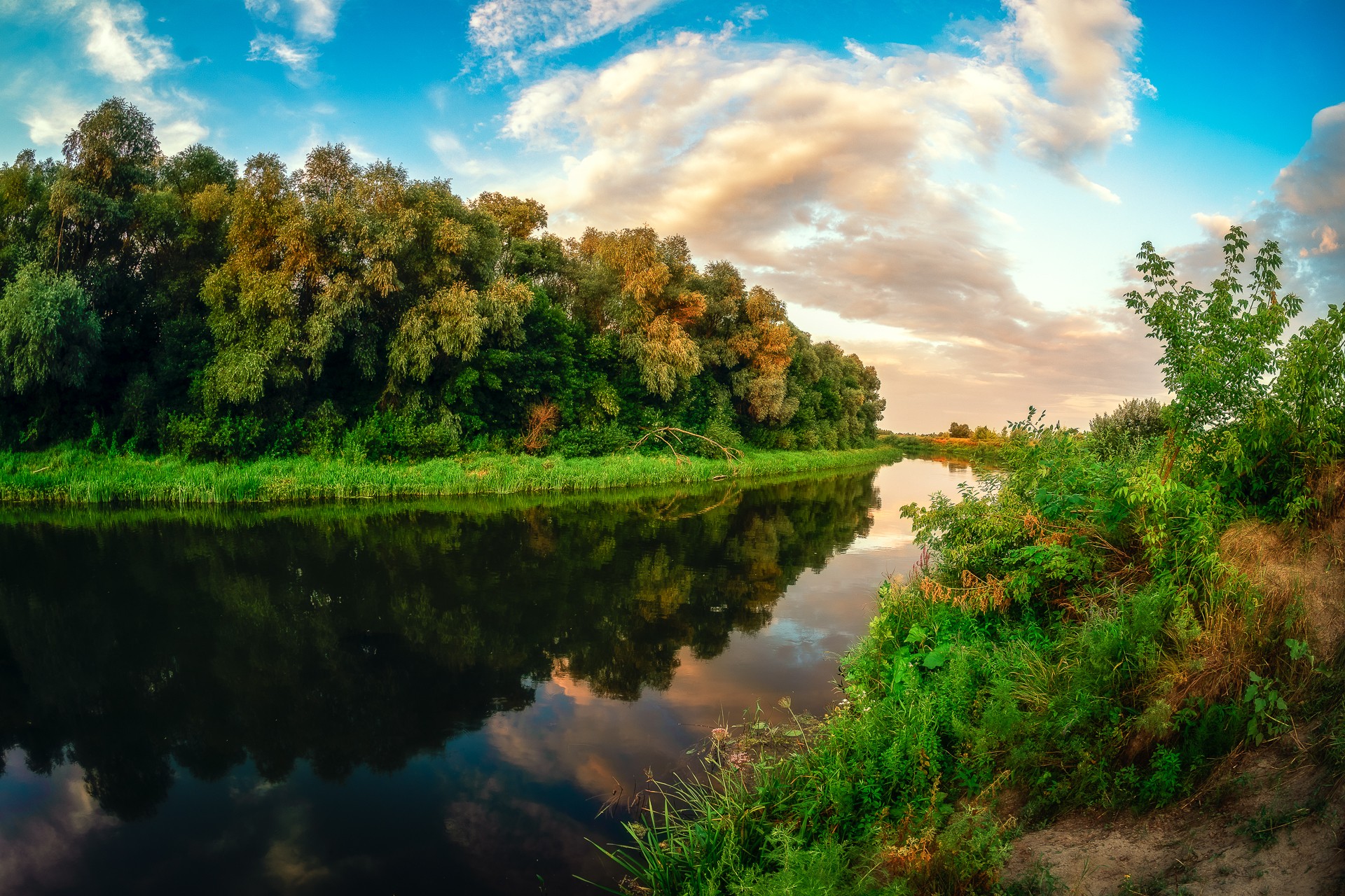 р Ворона