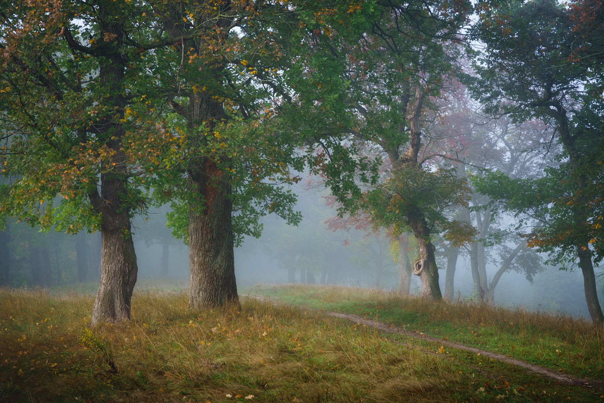 Встречая осень