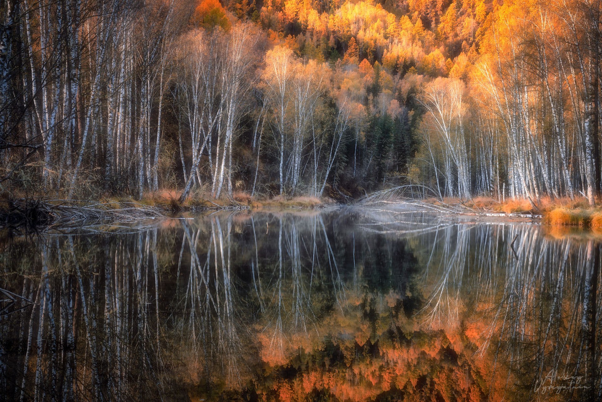About autumn and reflections