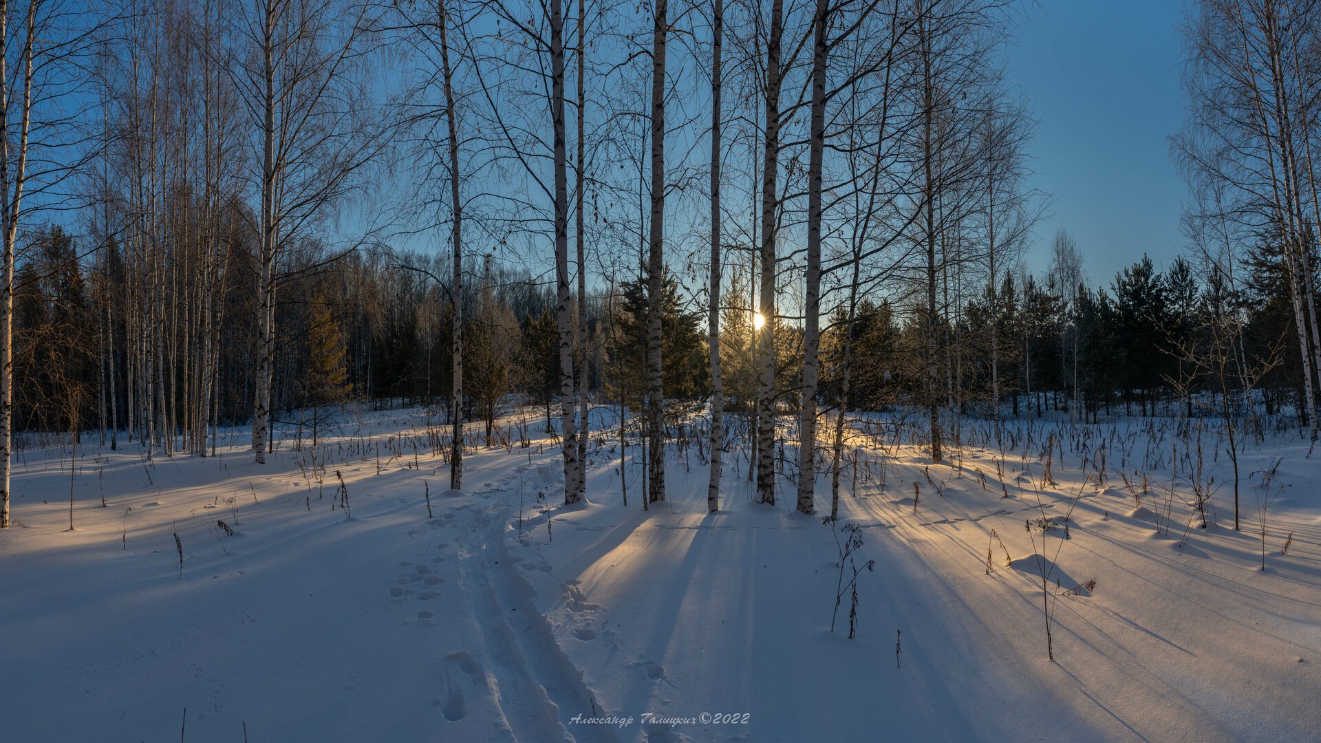 Вот уже март за февралём скоро растает…Средний Урал. Мартовское утро в лесу.