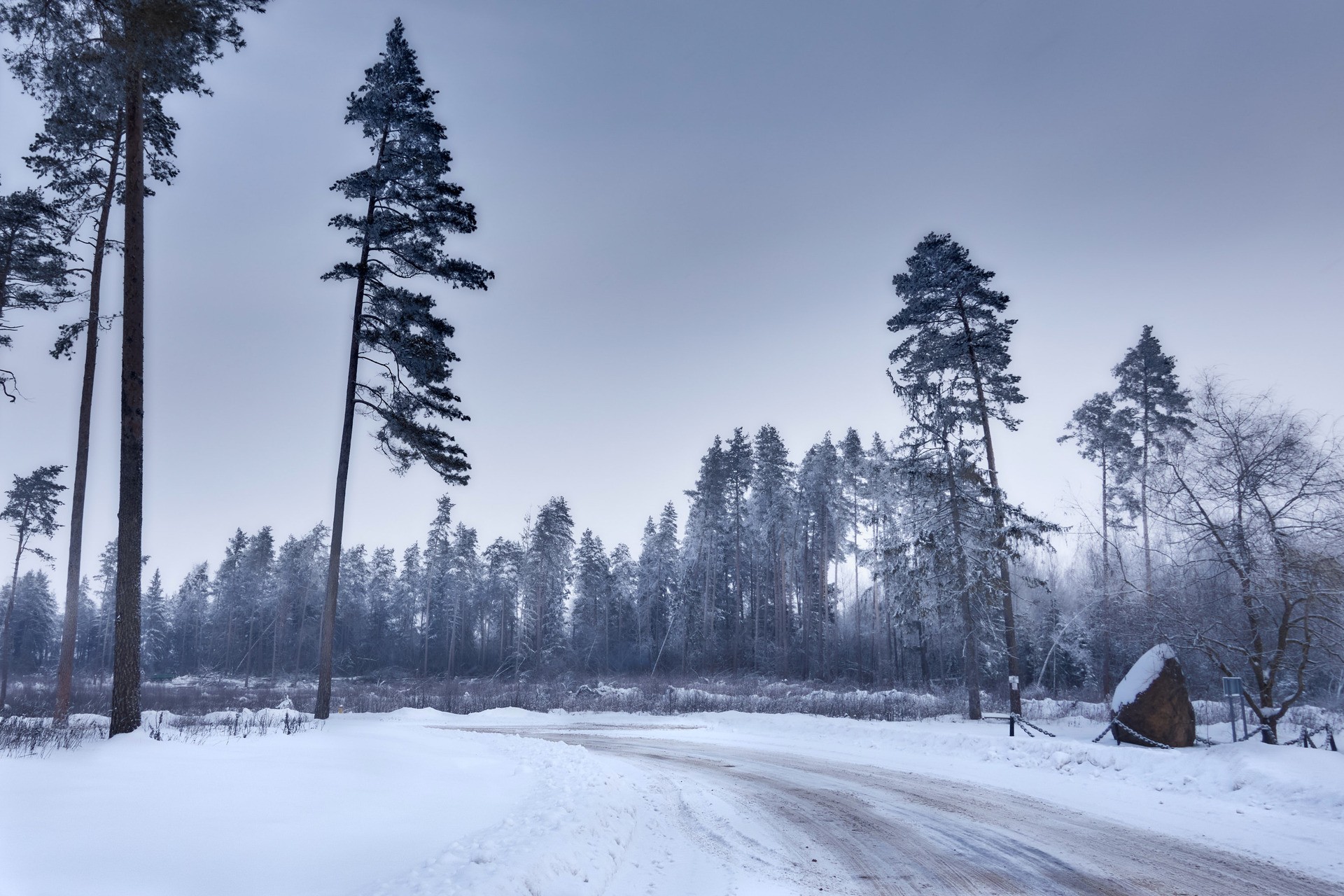 Словно сумерек наплыла тень