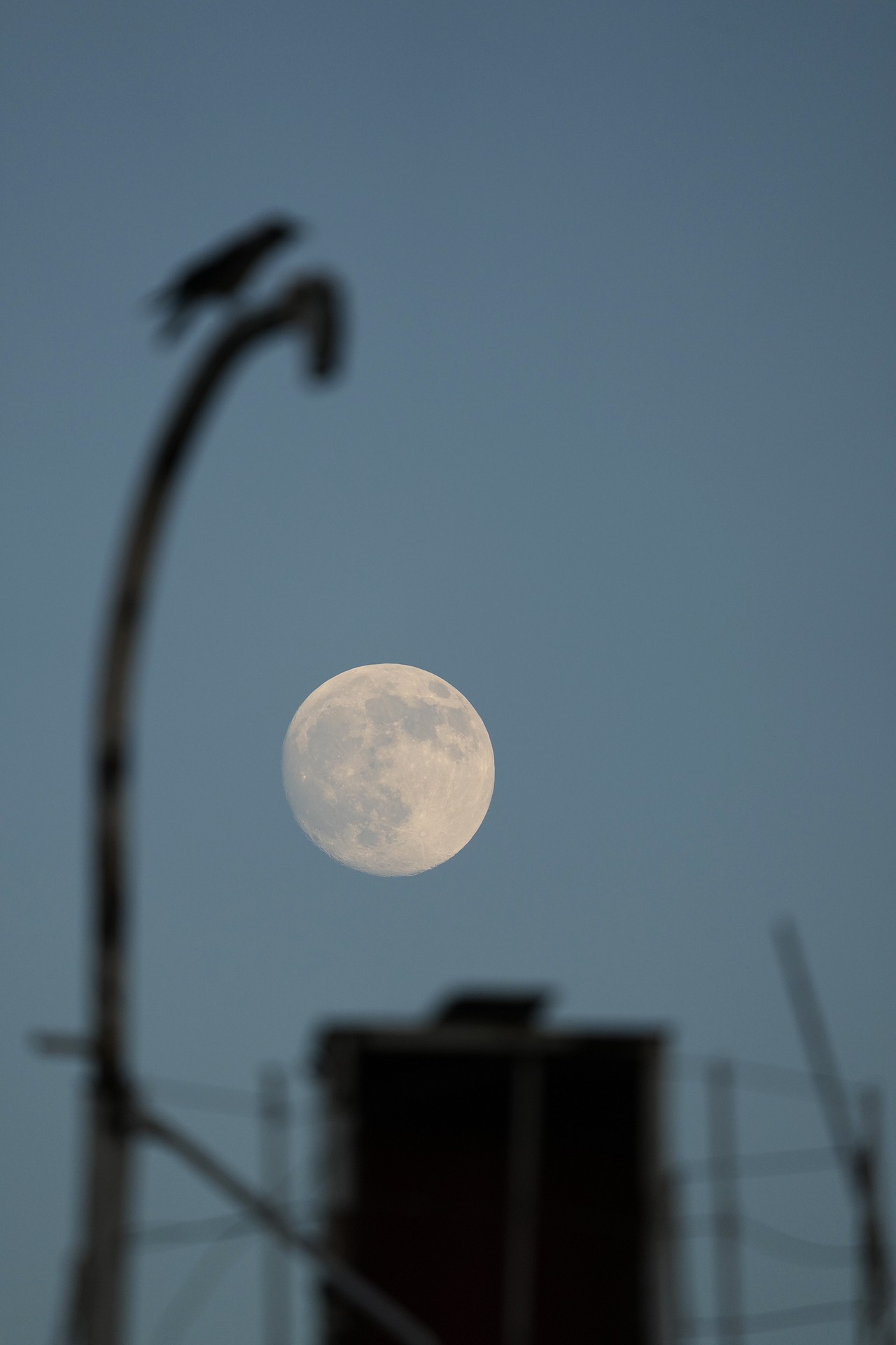 луна в Кронштадте