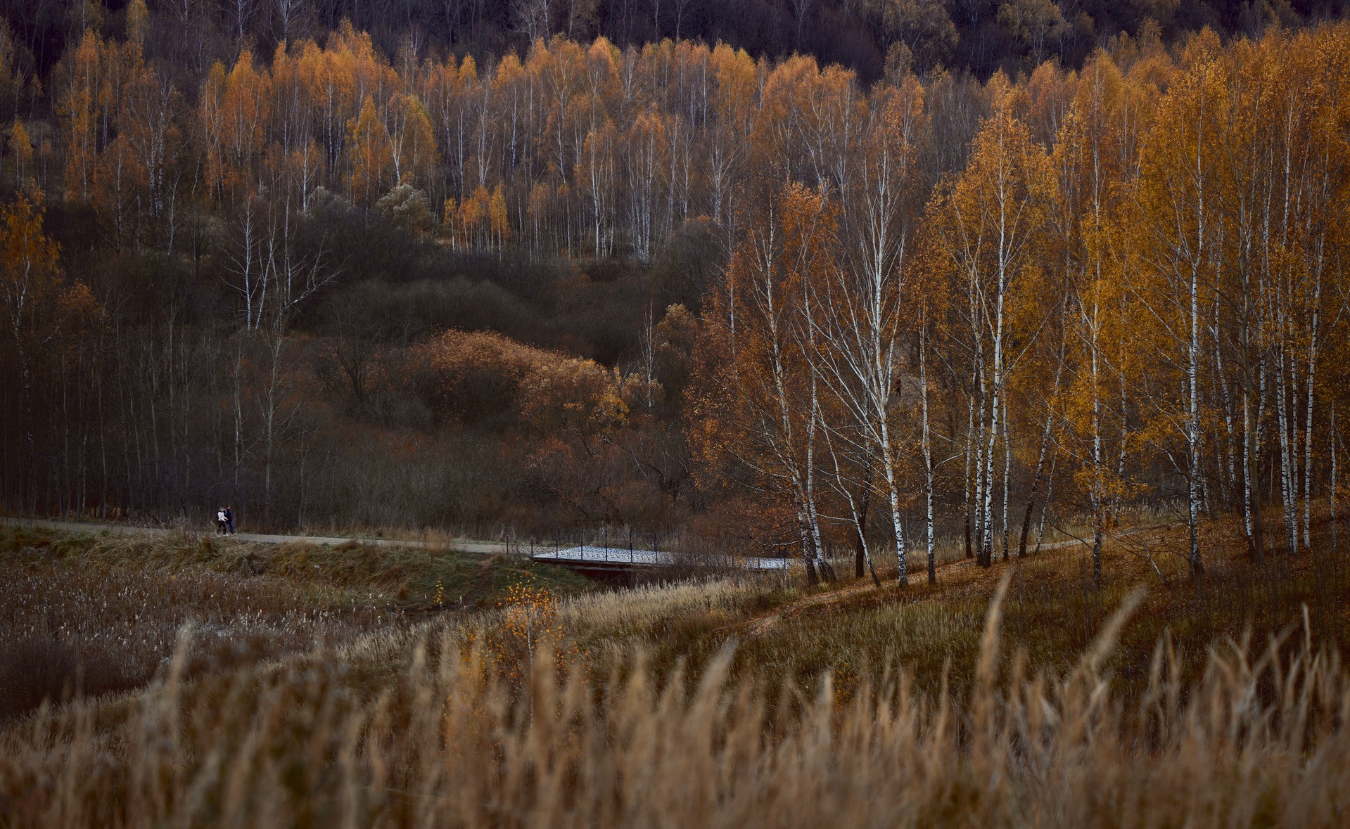 Прогулка