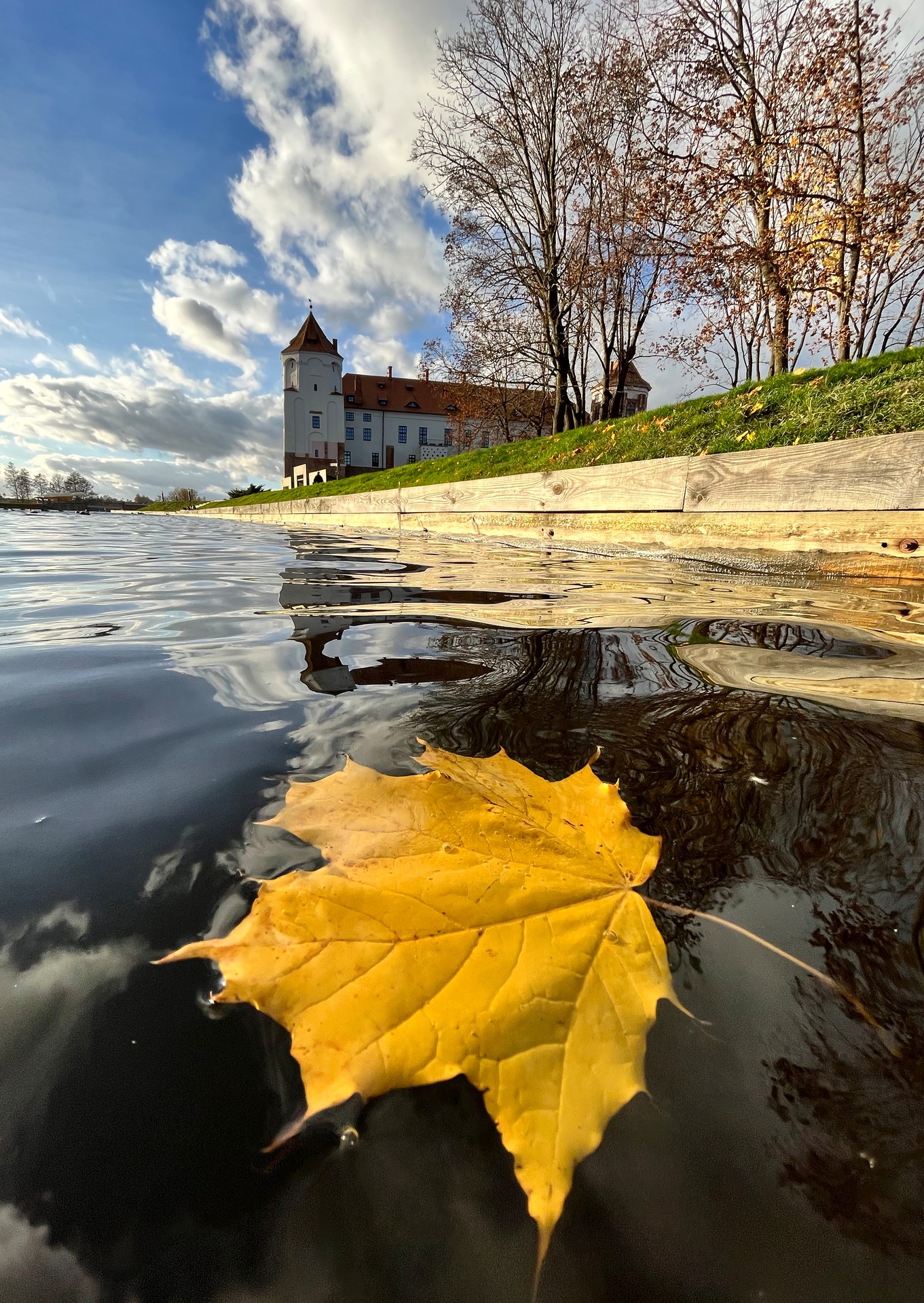 Осенний листок