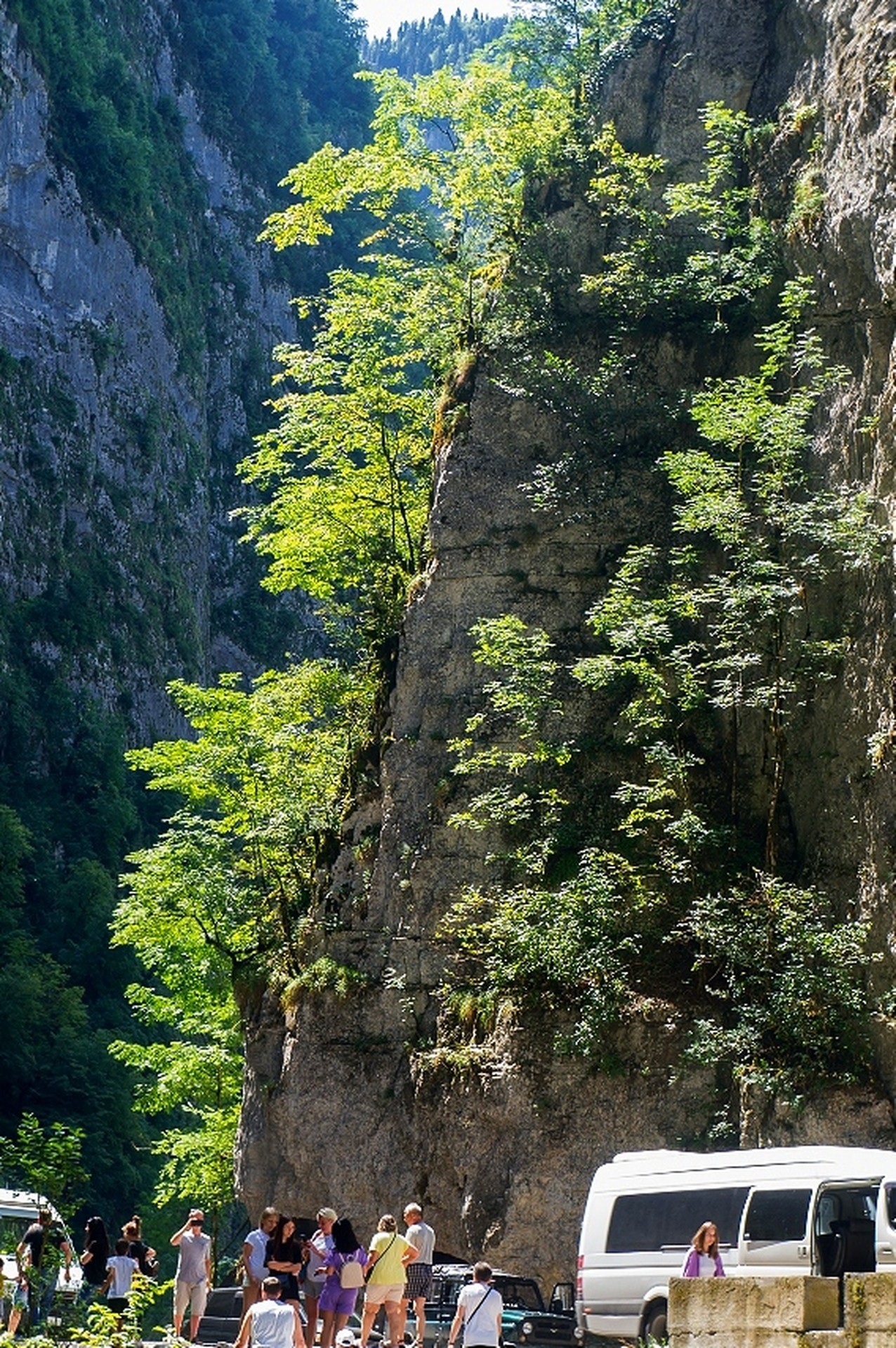 ущелье в горах Абхазии