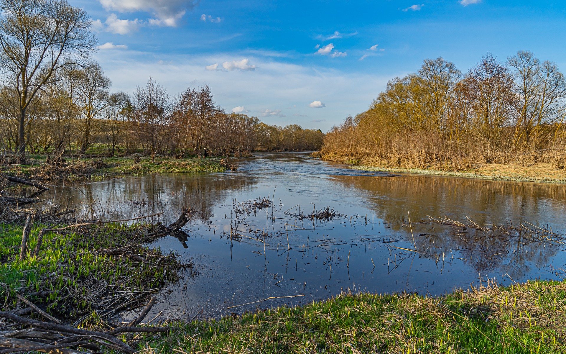 Река Кшень весной. Апрель.