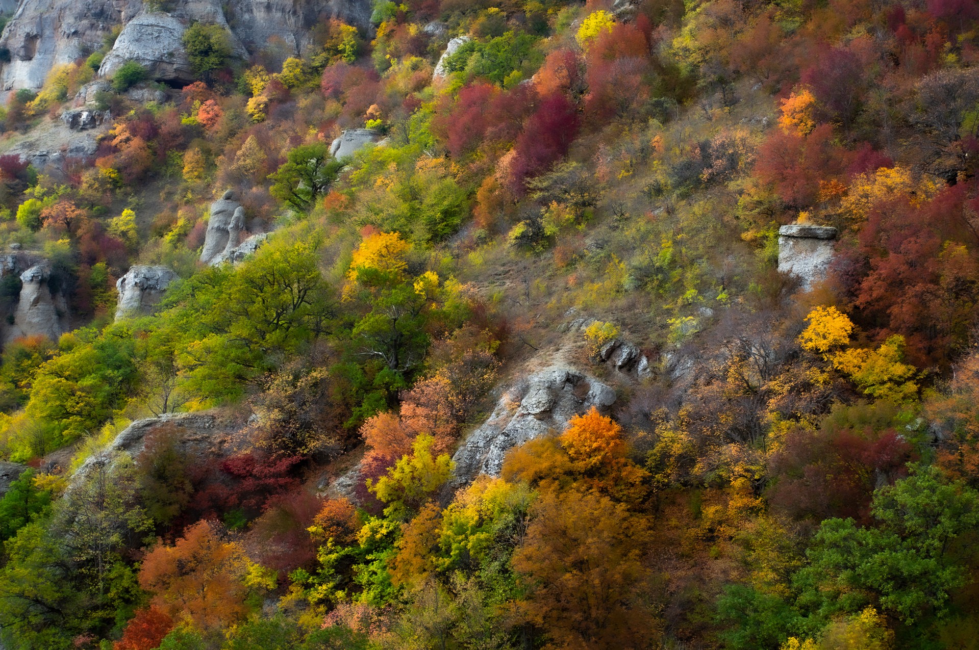 Осенняя палитра  Демерджи