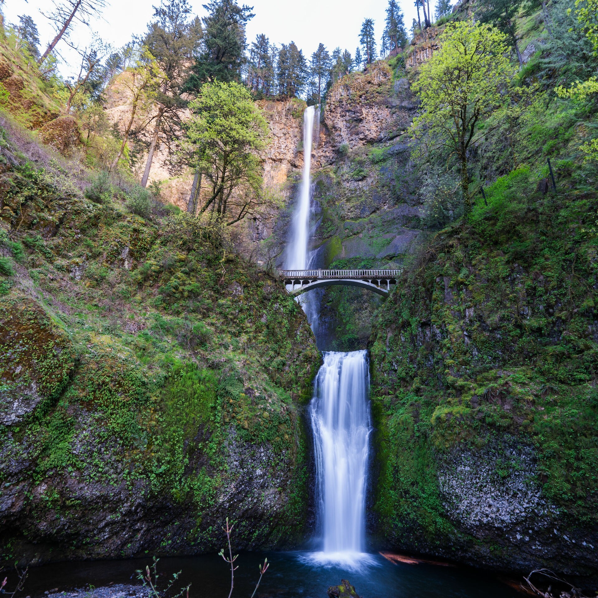 Multnomah Falls