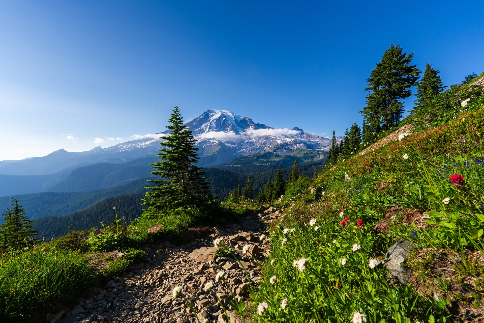 Pinnacle Peak Trail