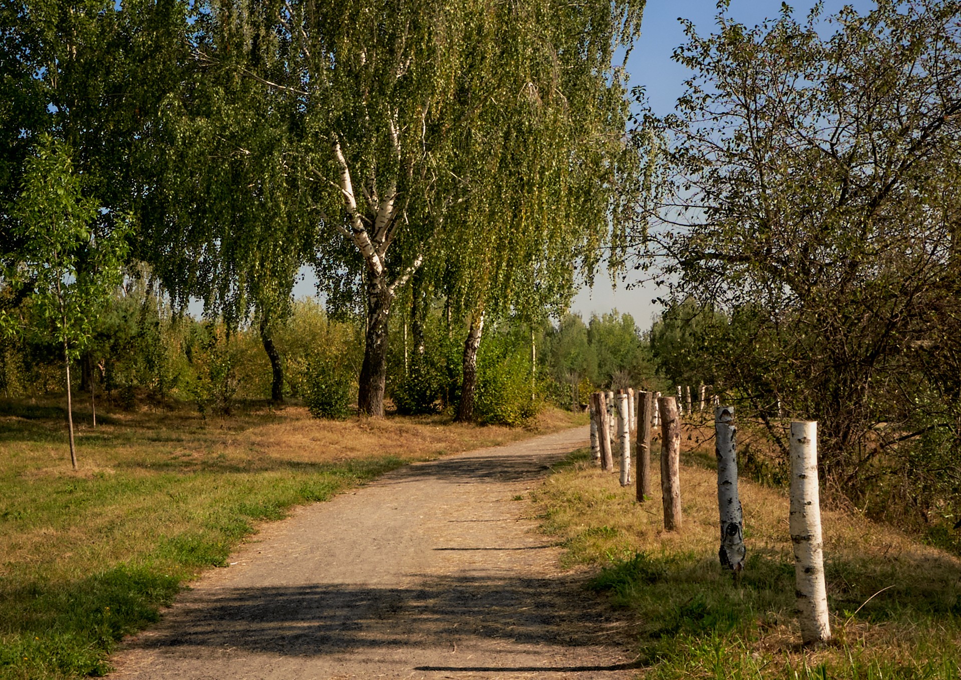 Полдень