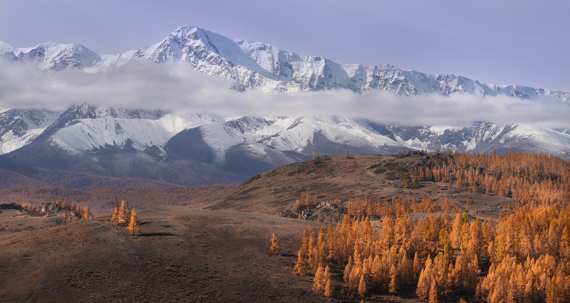 Алтай, Курайская степь