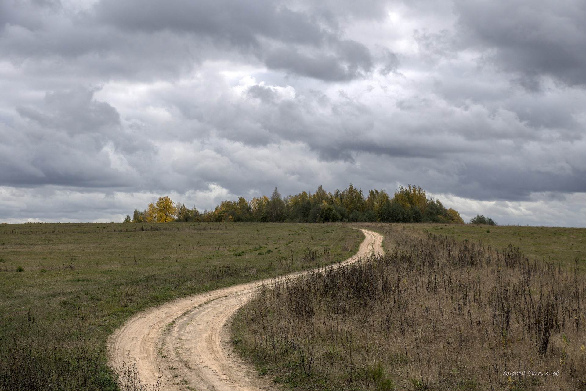 Осенняя дорога