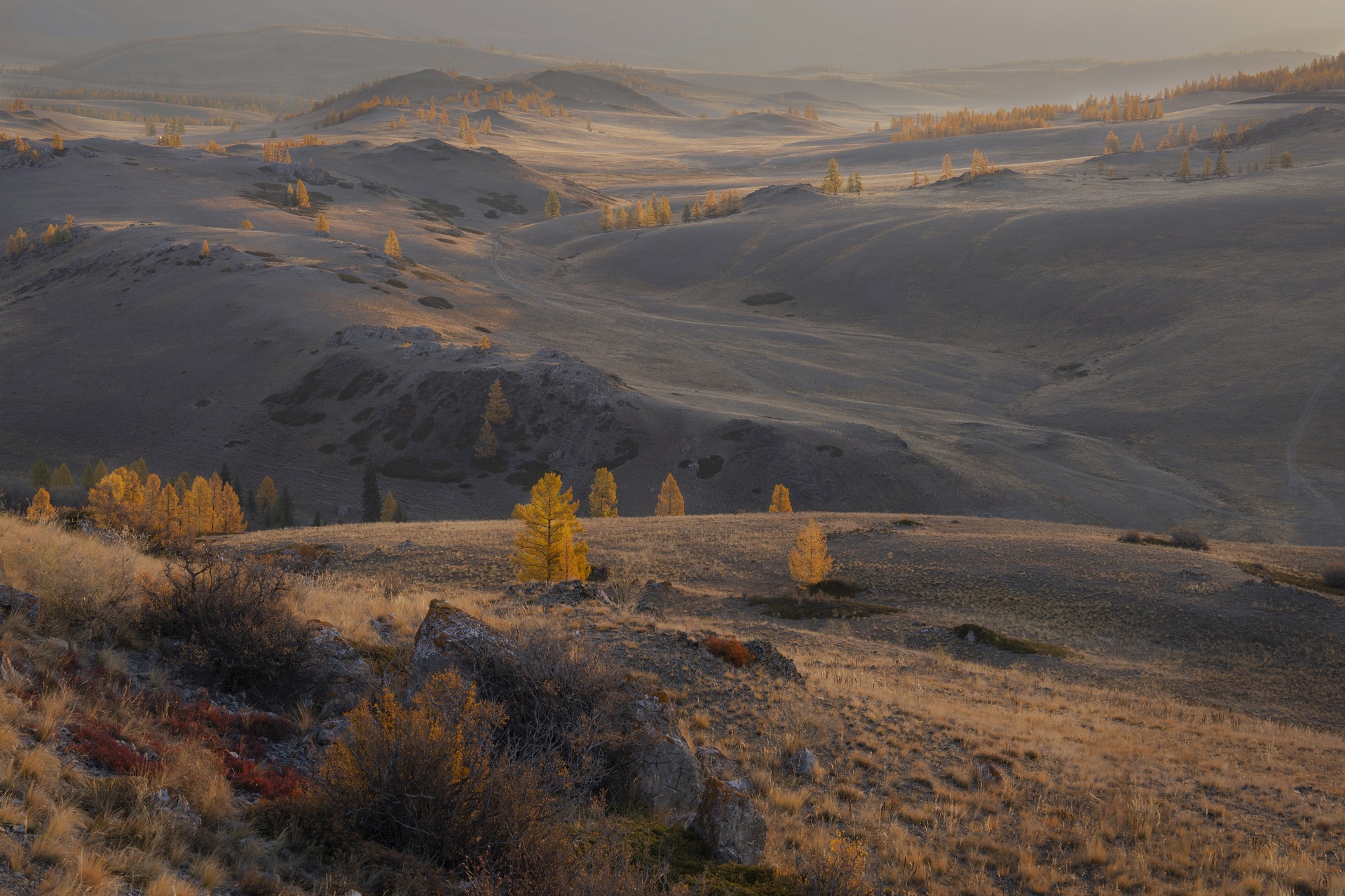 Осеннее утро Алтая