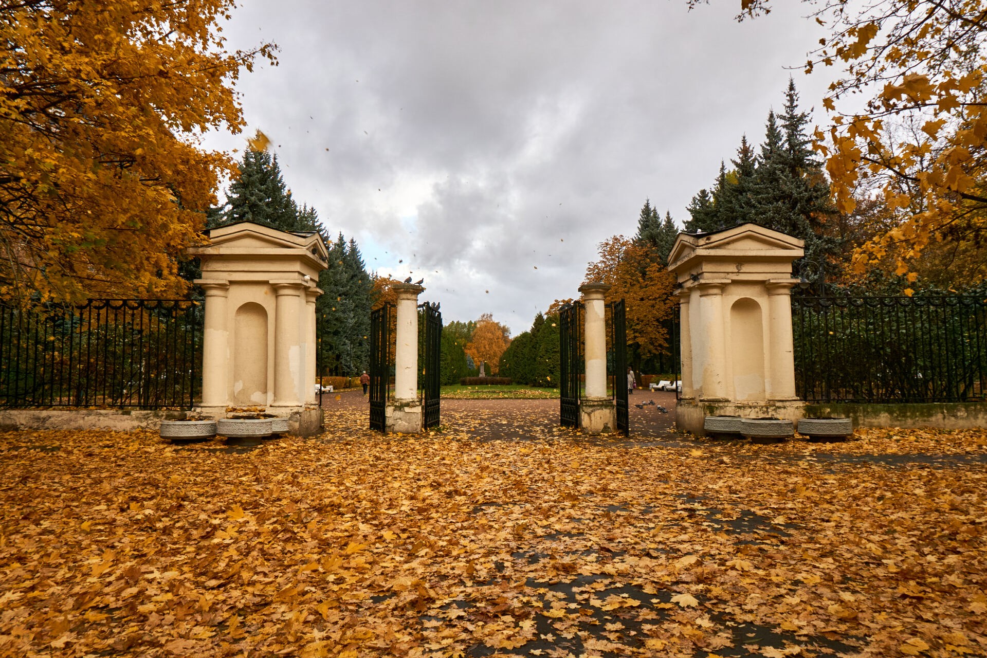 Сад Василеостровец. С.Петербург