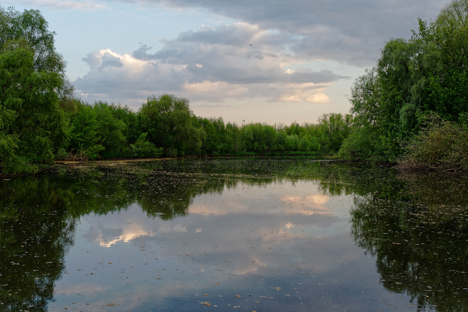 Река Пахра