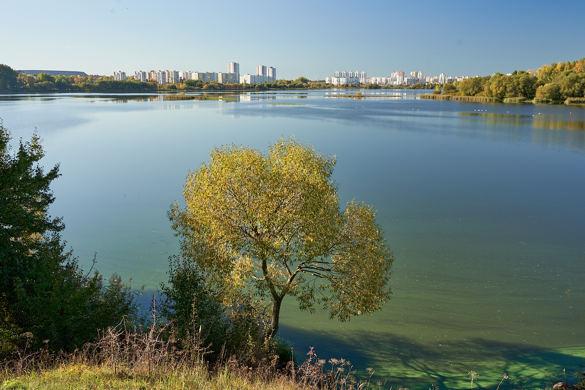 Безмятежность