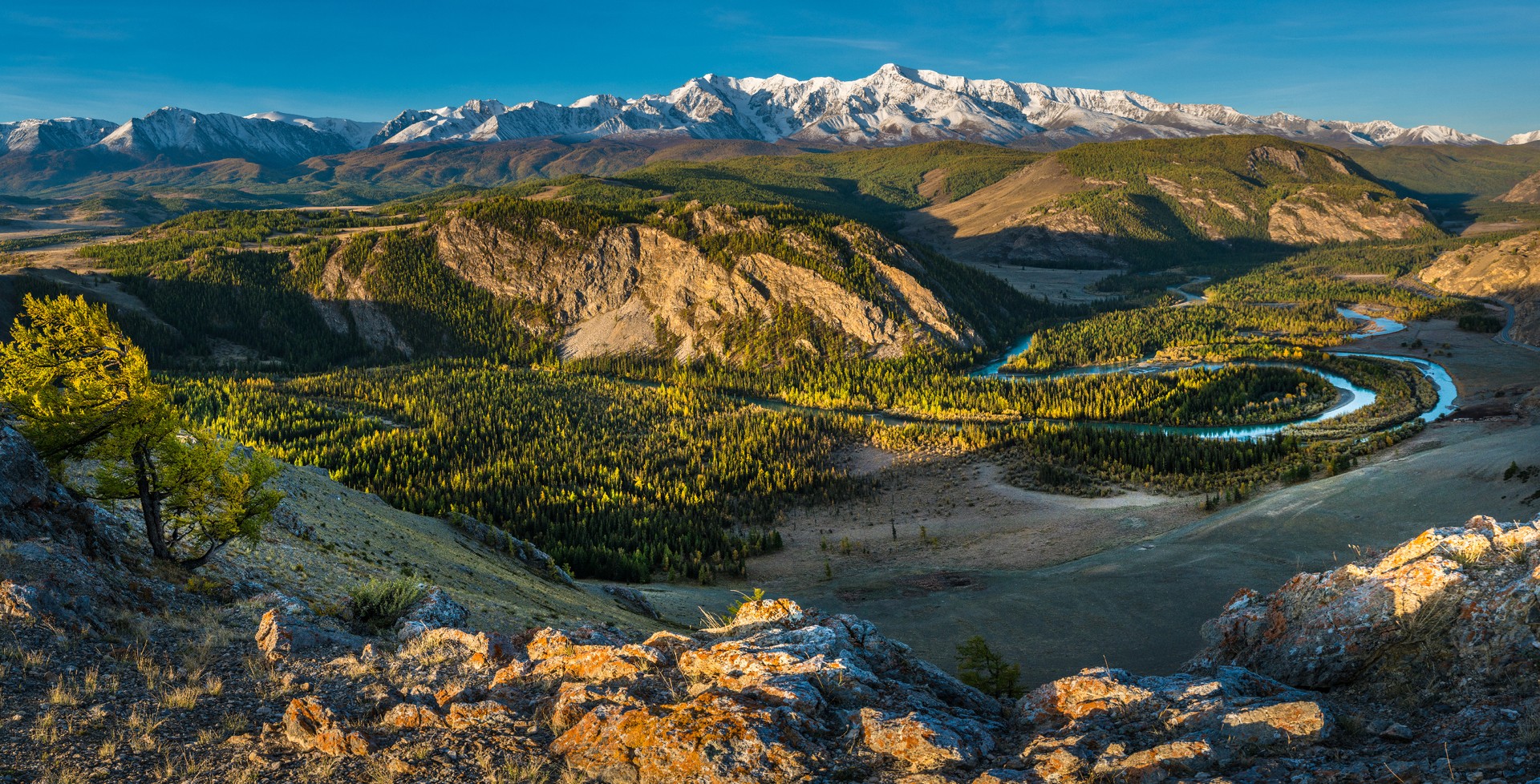 Курайская степь