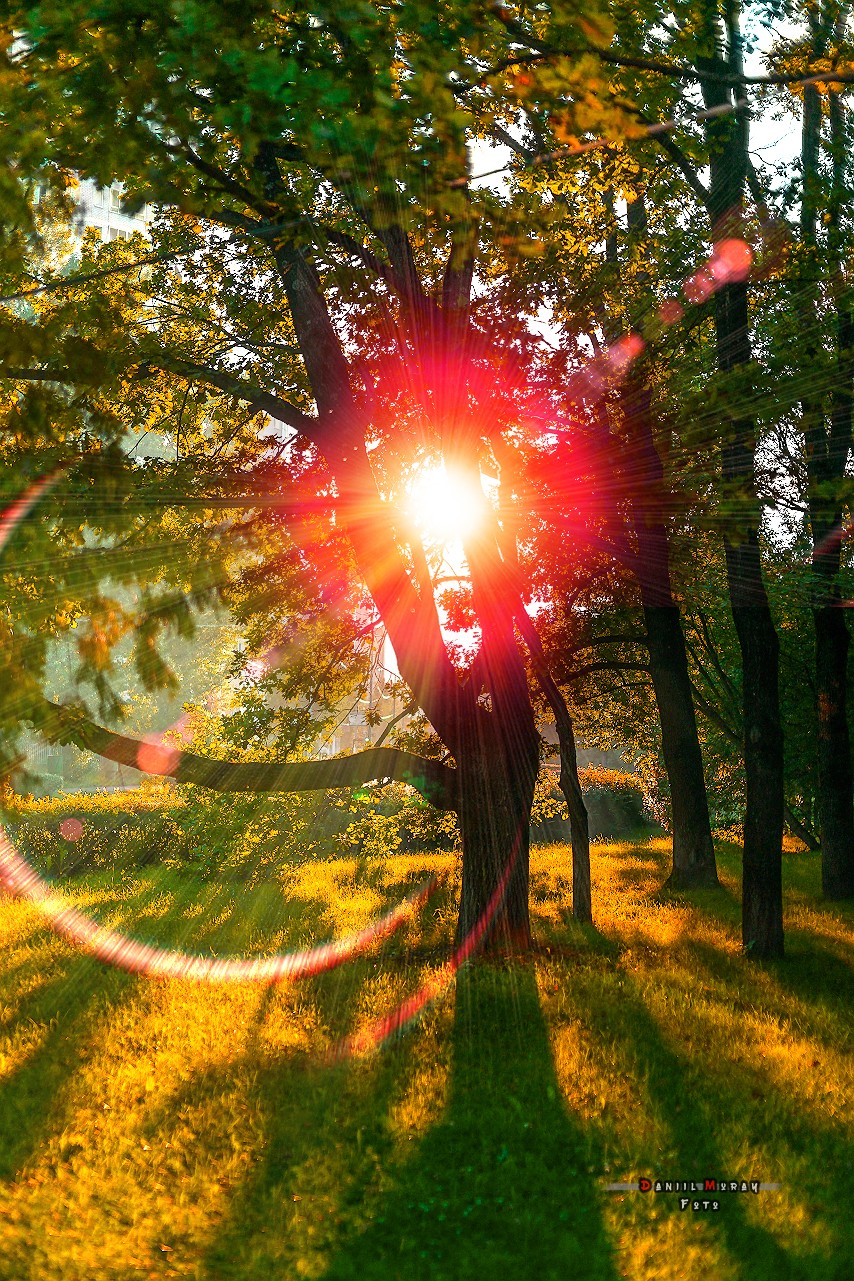 Осень и солнце)