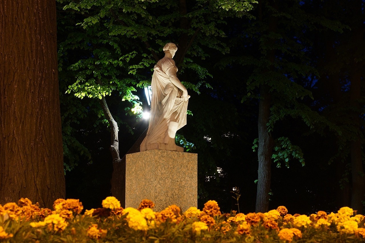 Александровский сад, ночь