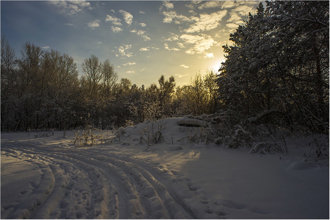 Зимнее утро в лесу.
