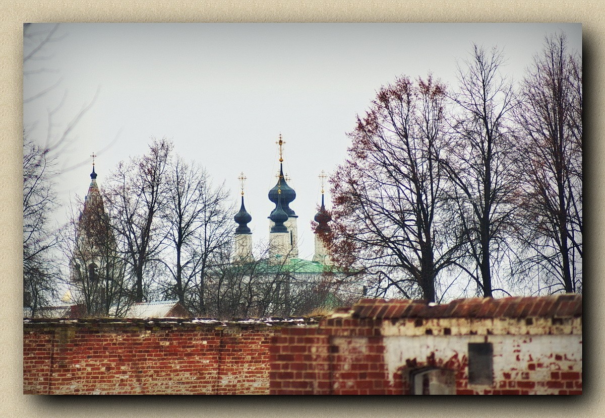 Вид на Александровский мужской монастырь.