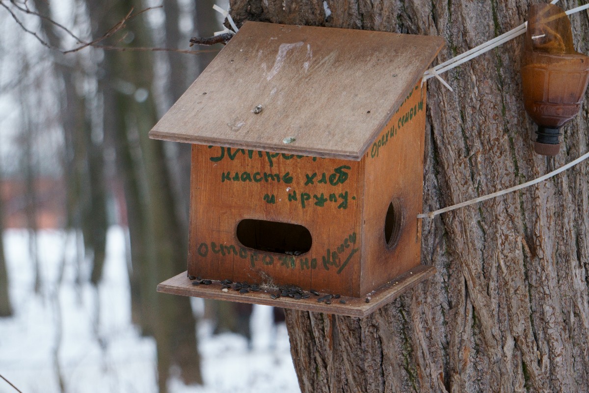 Скворечник